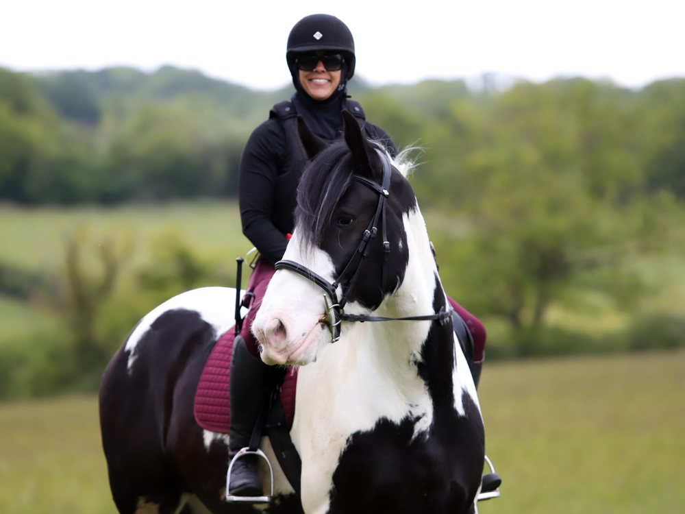 A rider on a black and white horse in a field beside woodland.
